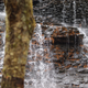 Illustration for article titled Fall Photos 2